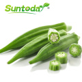 Vegetable buying online green  shakti f1 hybrid okra seed